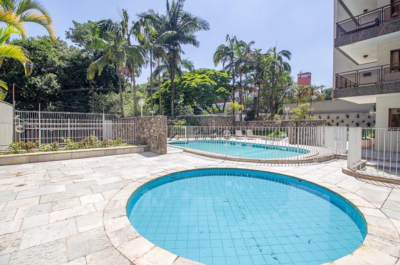 Uirapuru - Alto da lapa