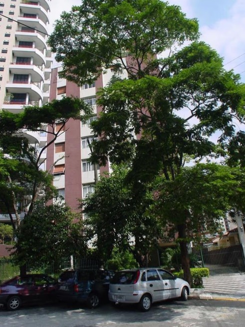 SÃO GABRIEL