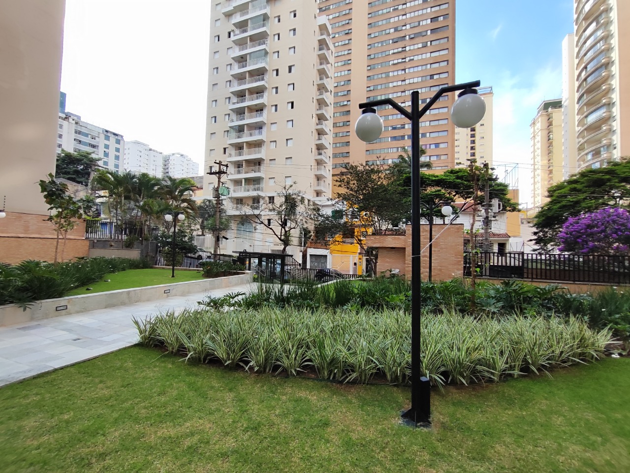 Camburi