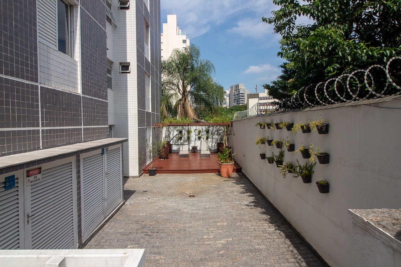 PALMAS DE MARIANA
