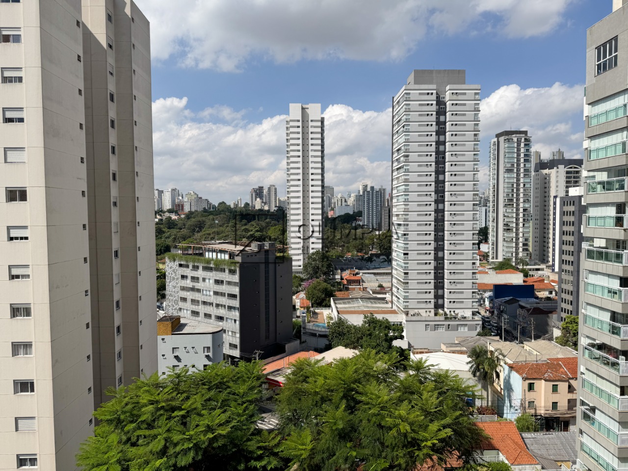 Mourato Coelho, 716