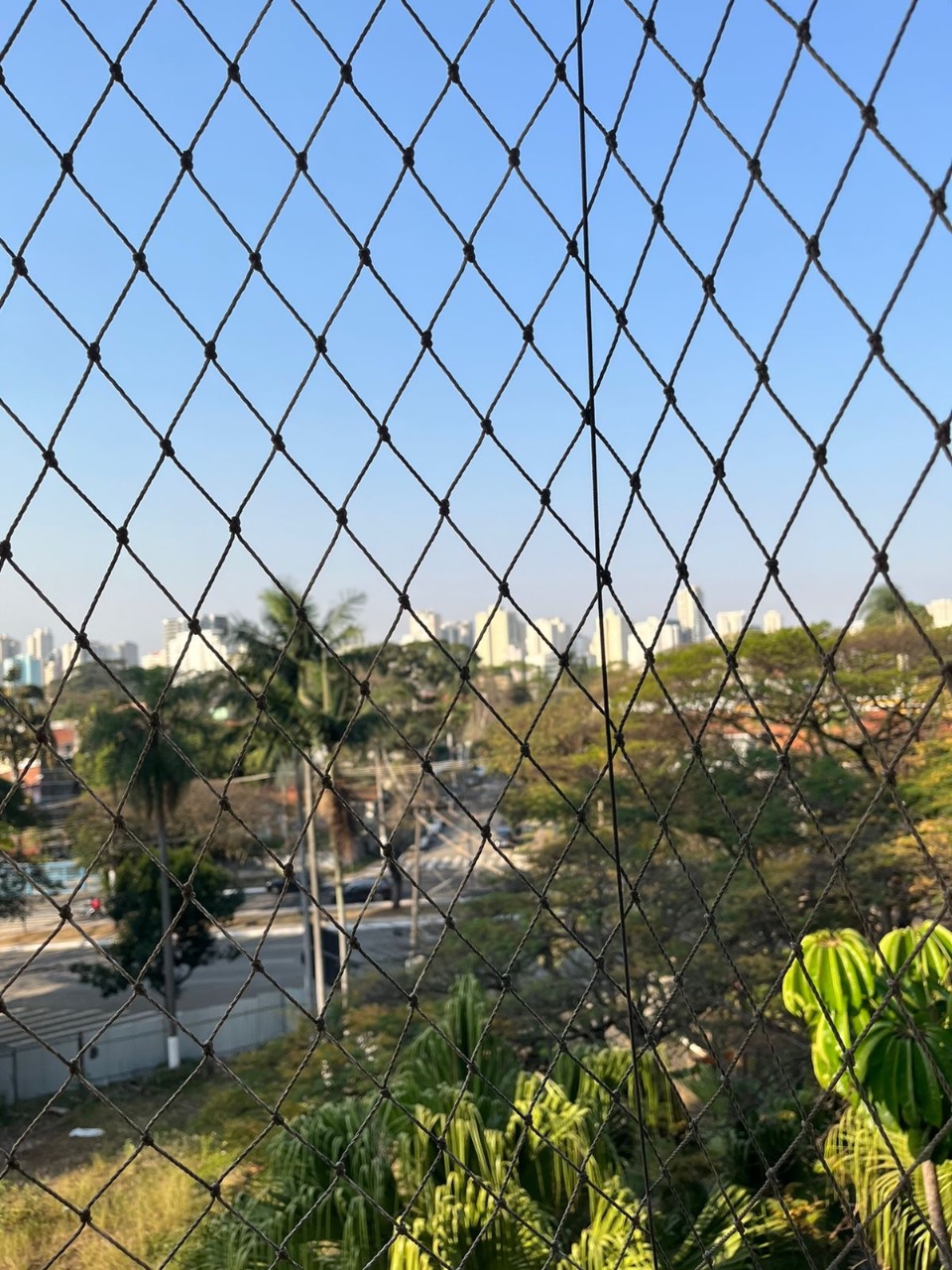 dos Tupiniquins, 56
