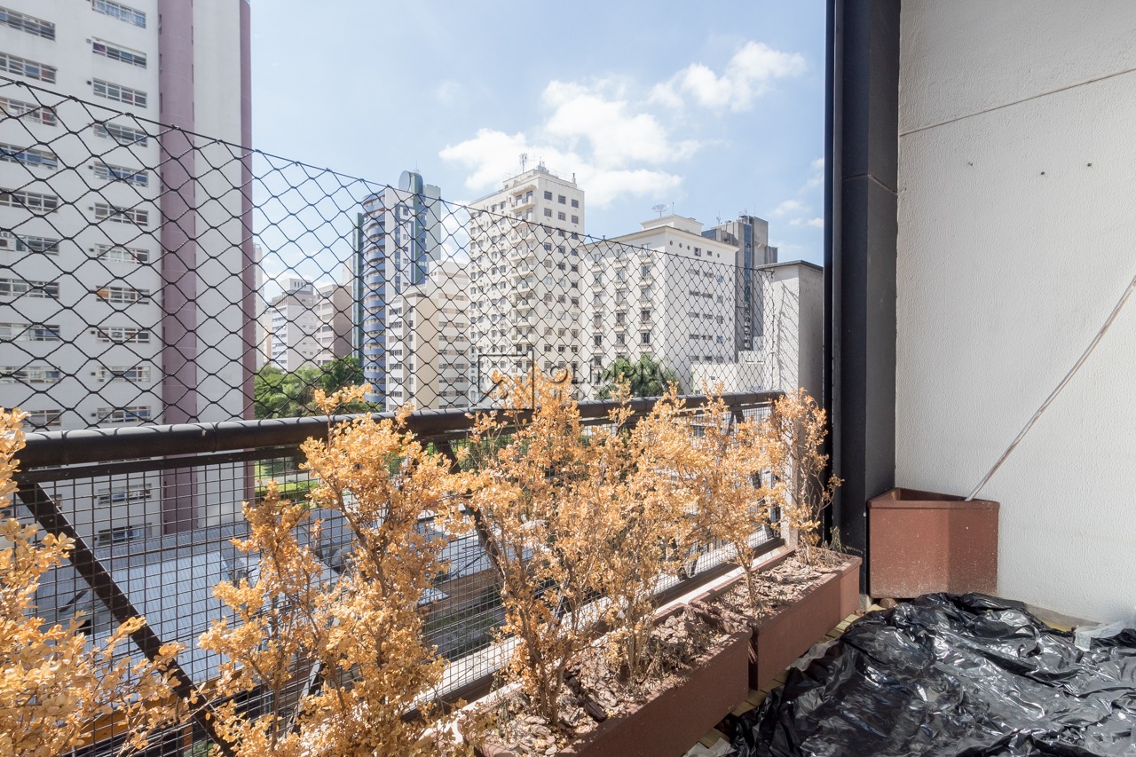 Bandeira Paulista, 300