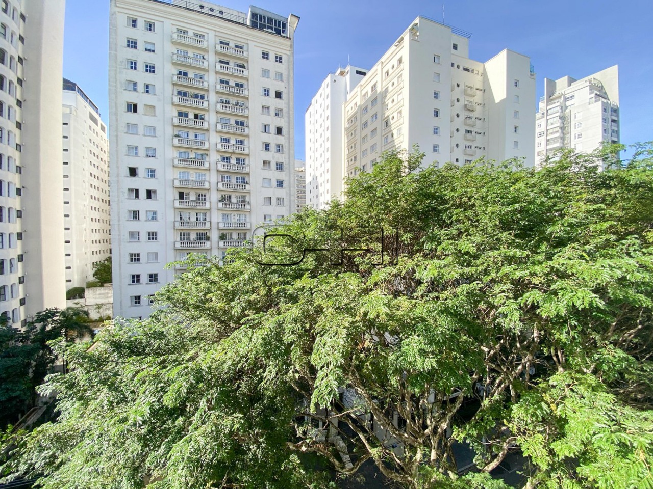 Sarutaiá, 333