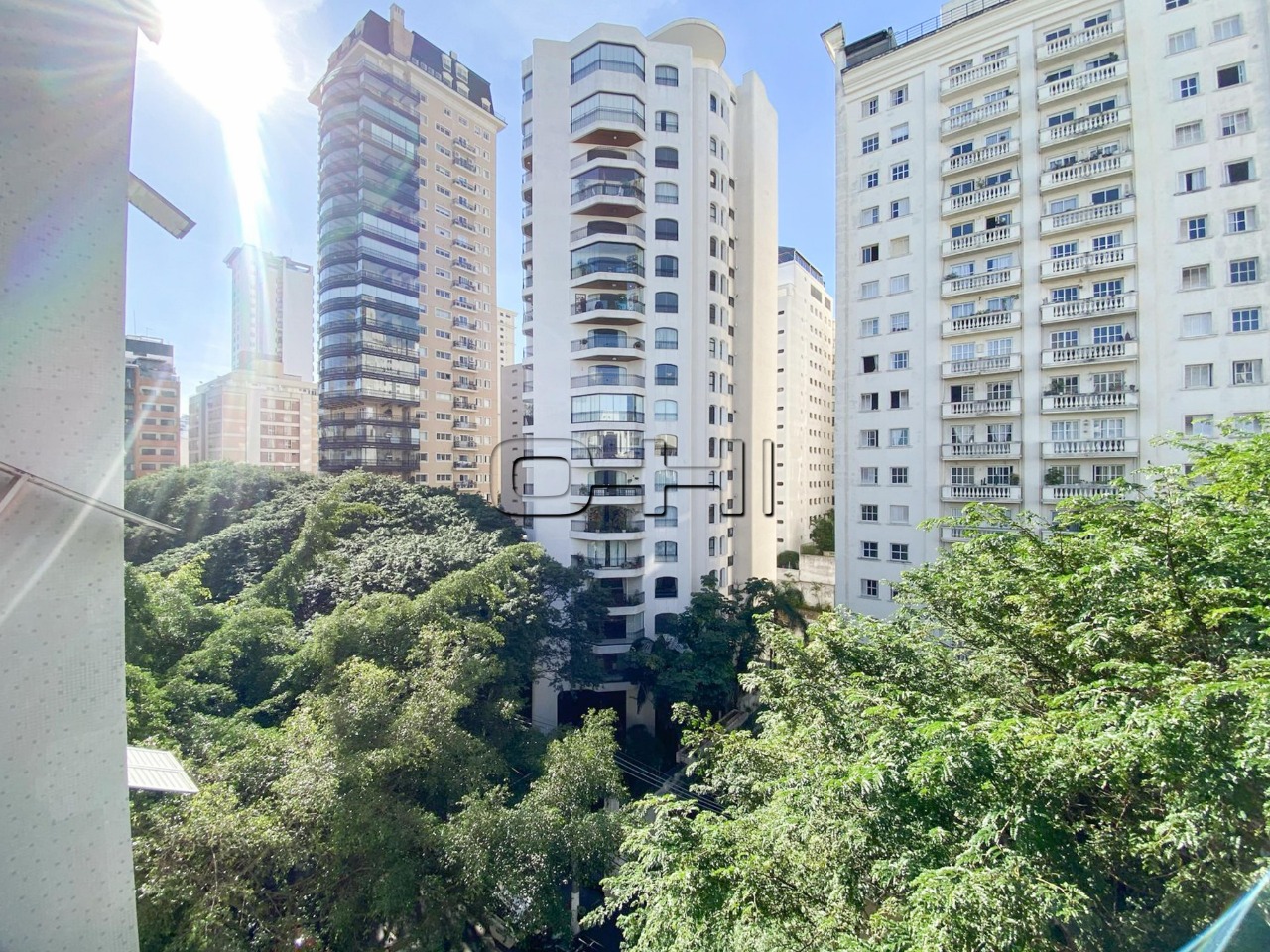Sarutaiá, 333