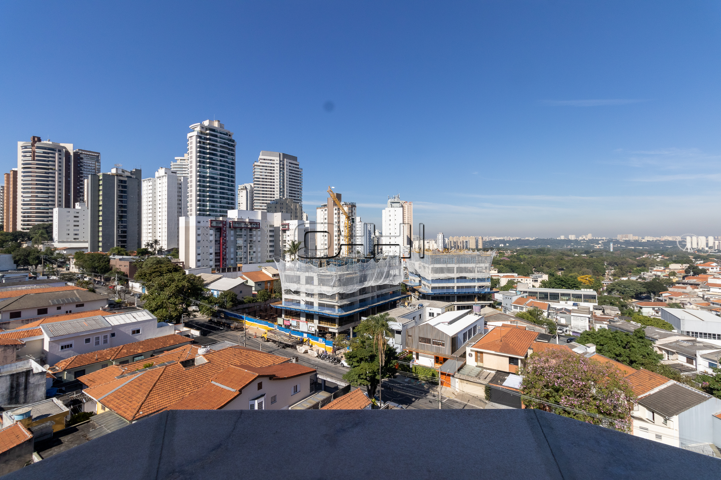 Princesa Leopoldina, 595