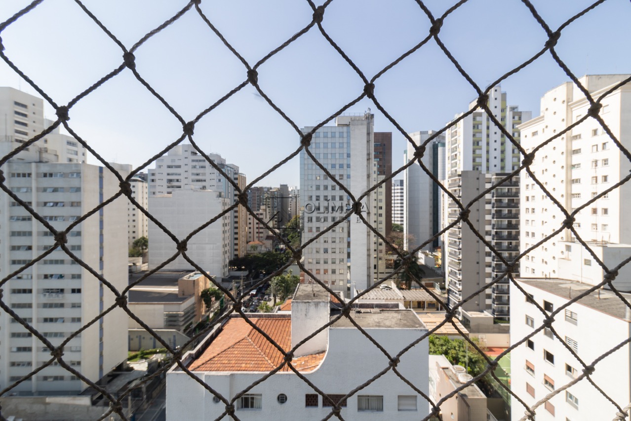 Abílio Soares, 509