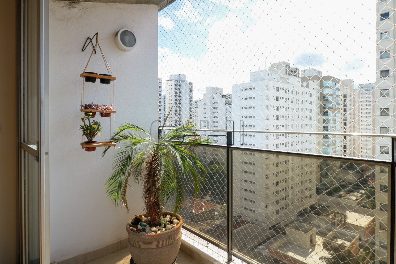 Pavão, 700