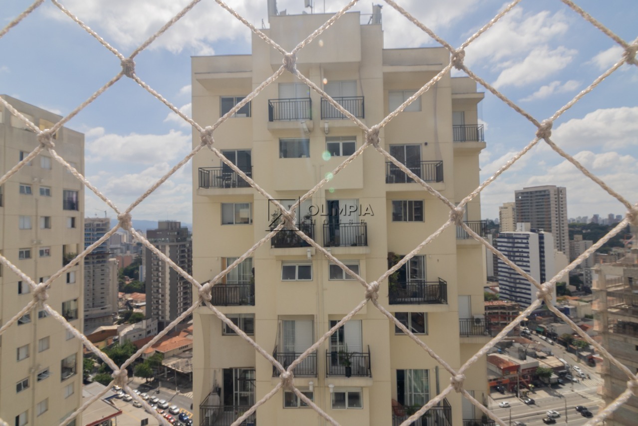 Paulistânia, 215
