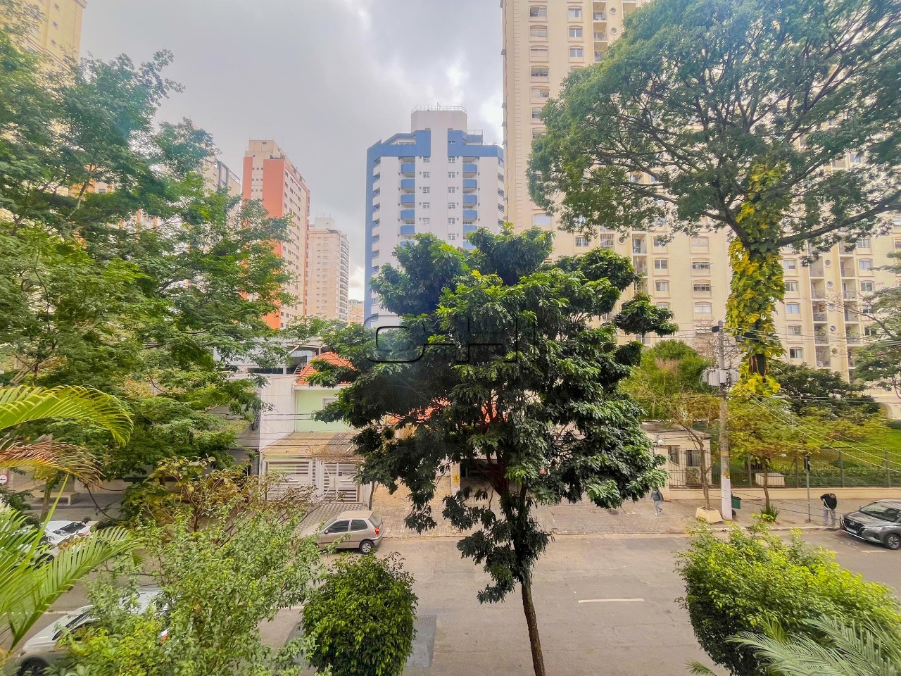 Macuco, 382