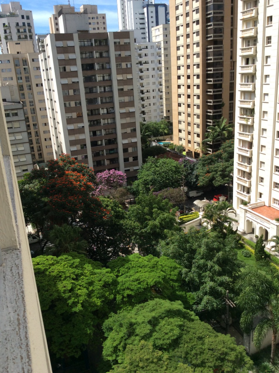 Graúna, 379
