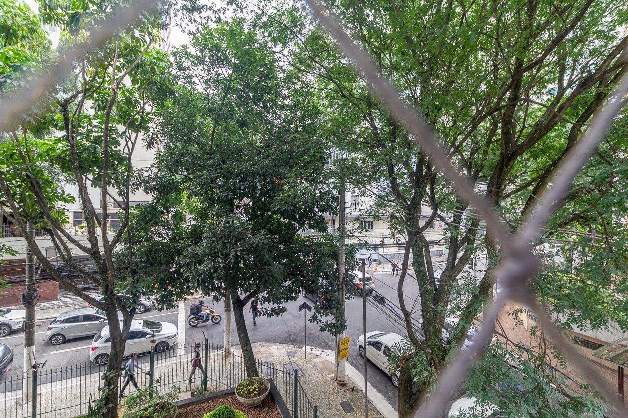 Teixeira da Silva, 285