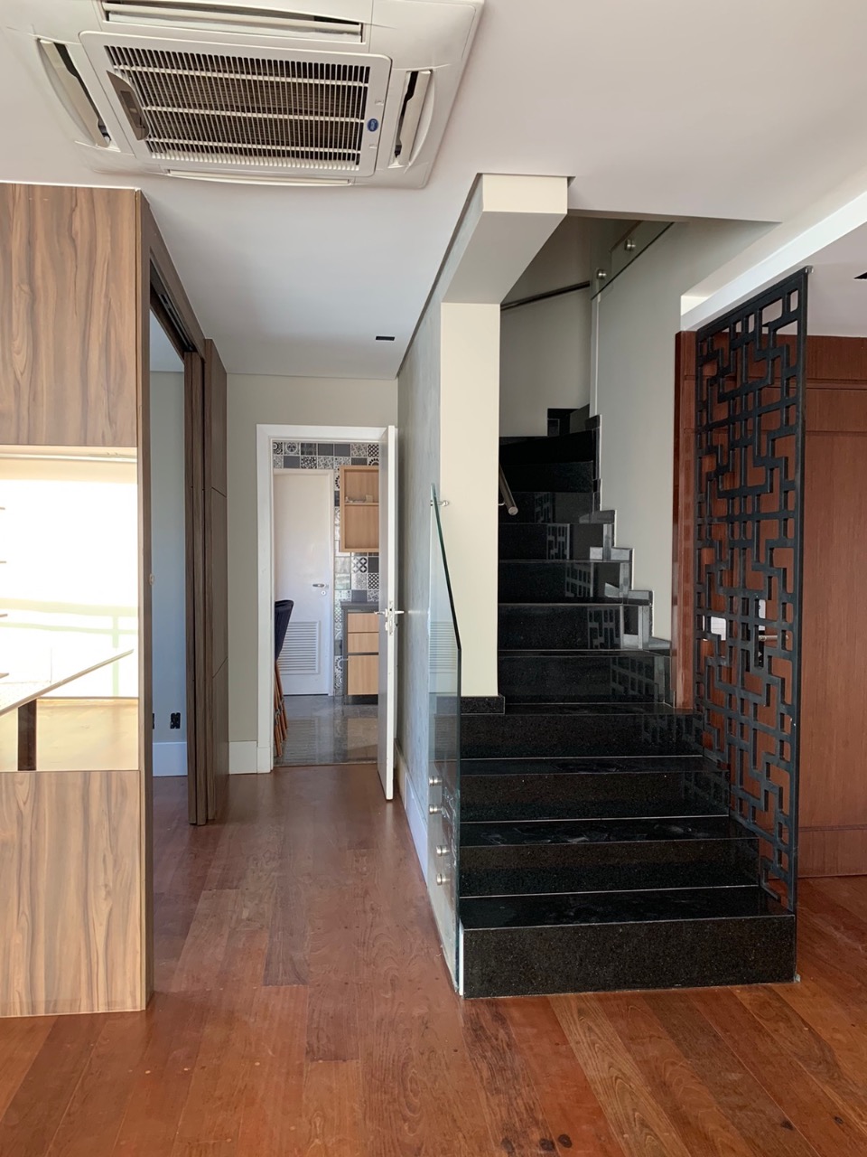 Macuco, 586