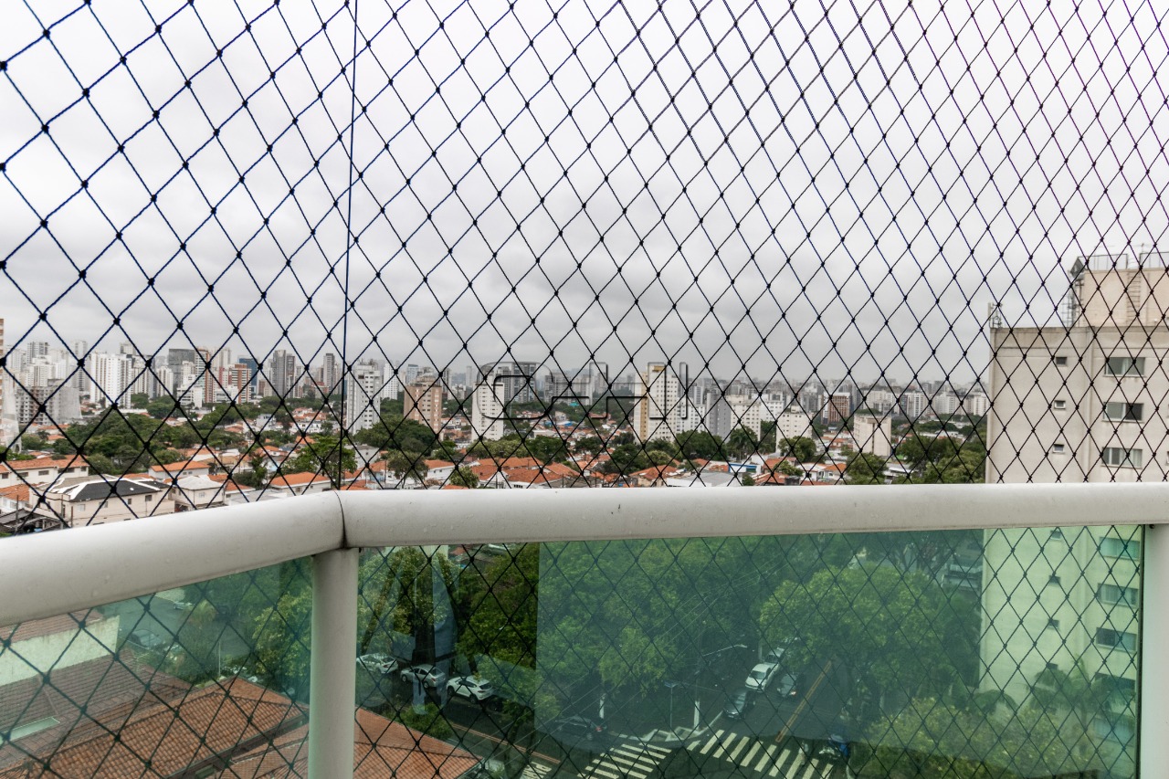 Baronesa de Bela Vista, 641