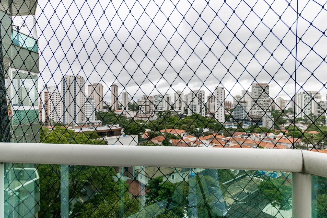Baronesa de Bela Vista, 641