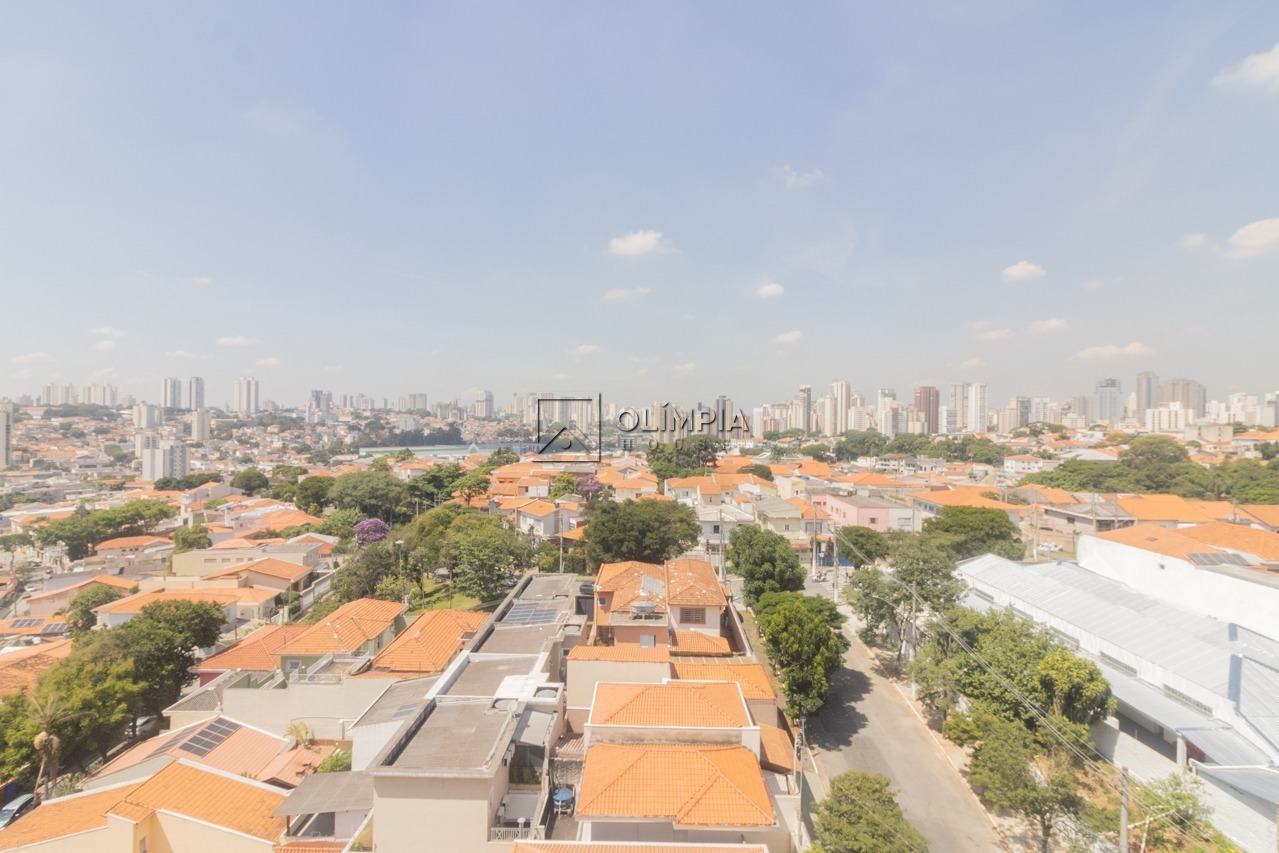 Mesquita, 811