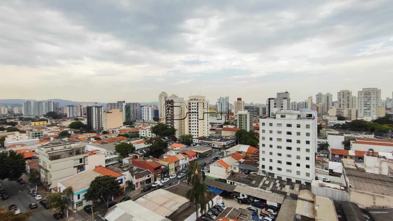Gomes Freire, 534