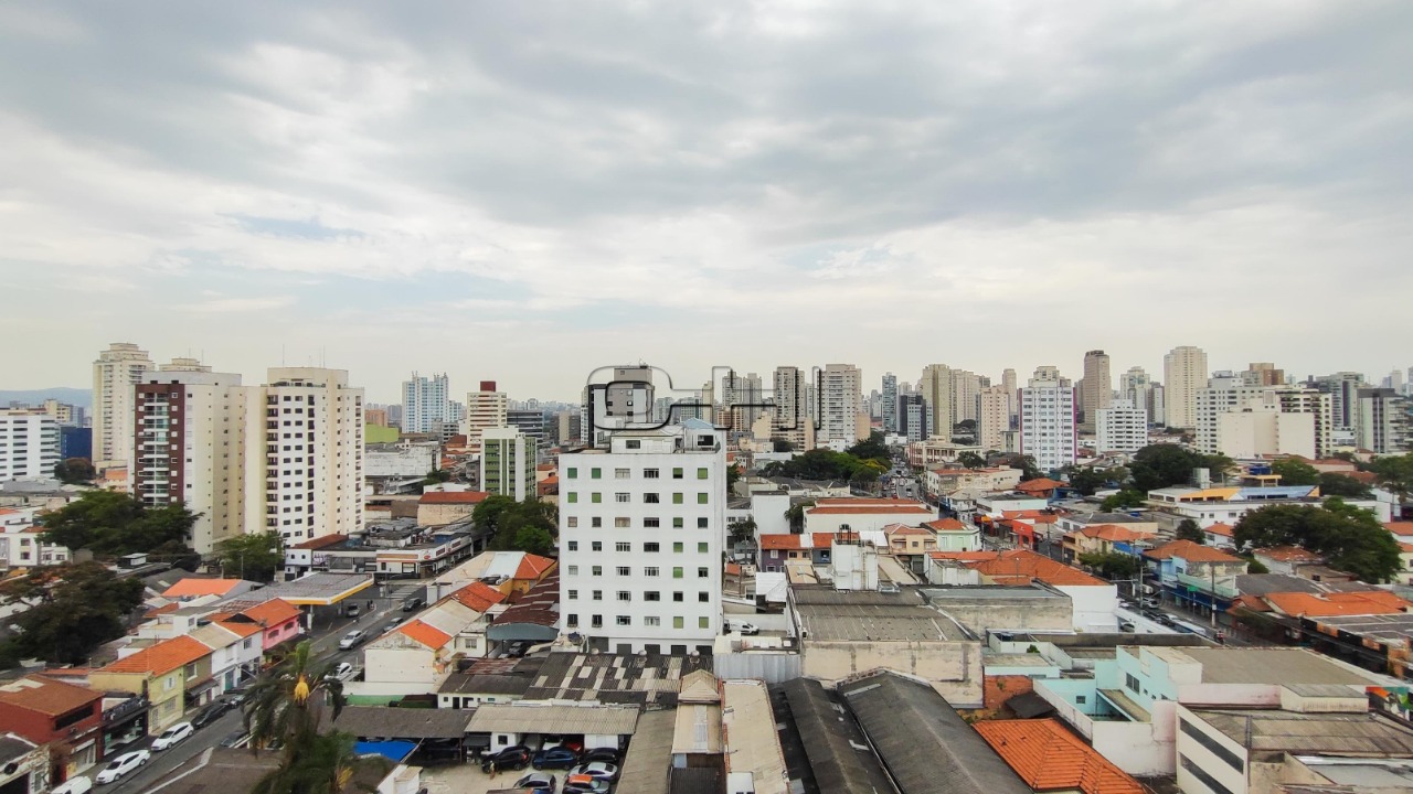 Gomes Freire, 534