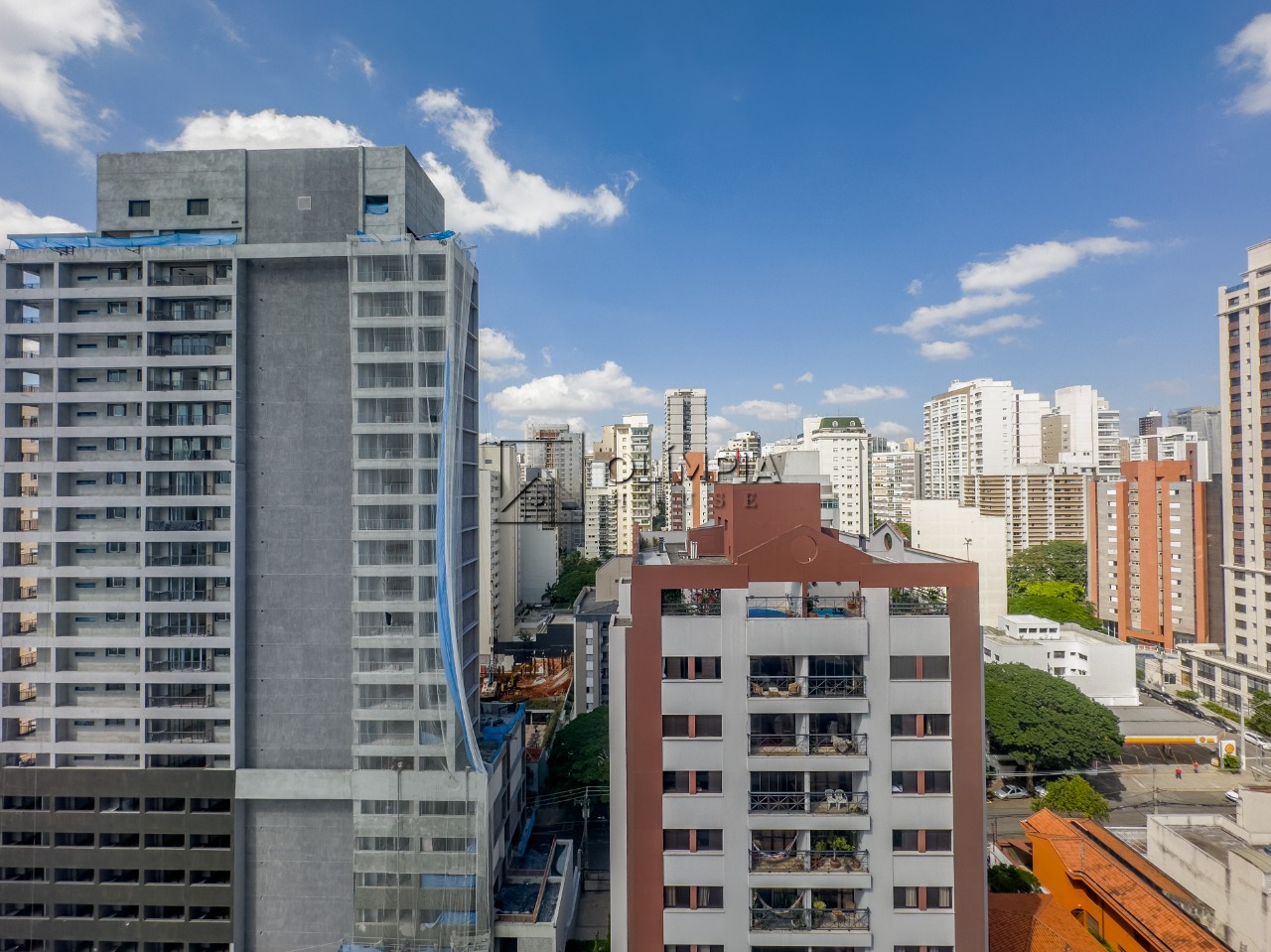 Pinto Gonçalves, 85