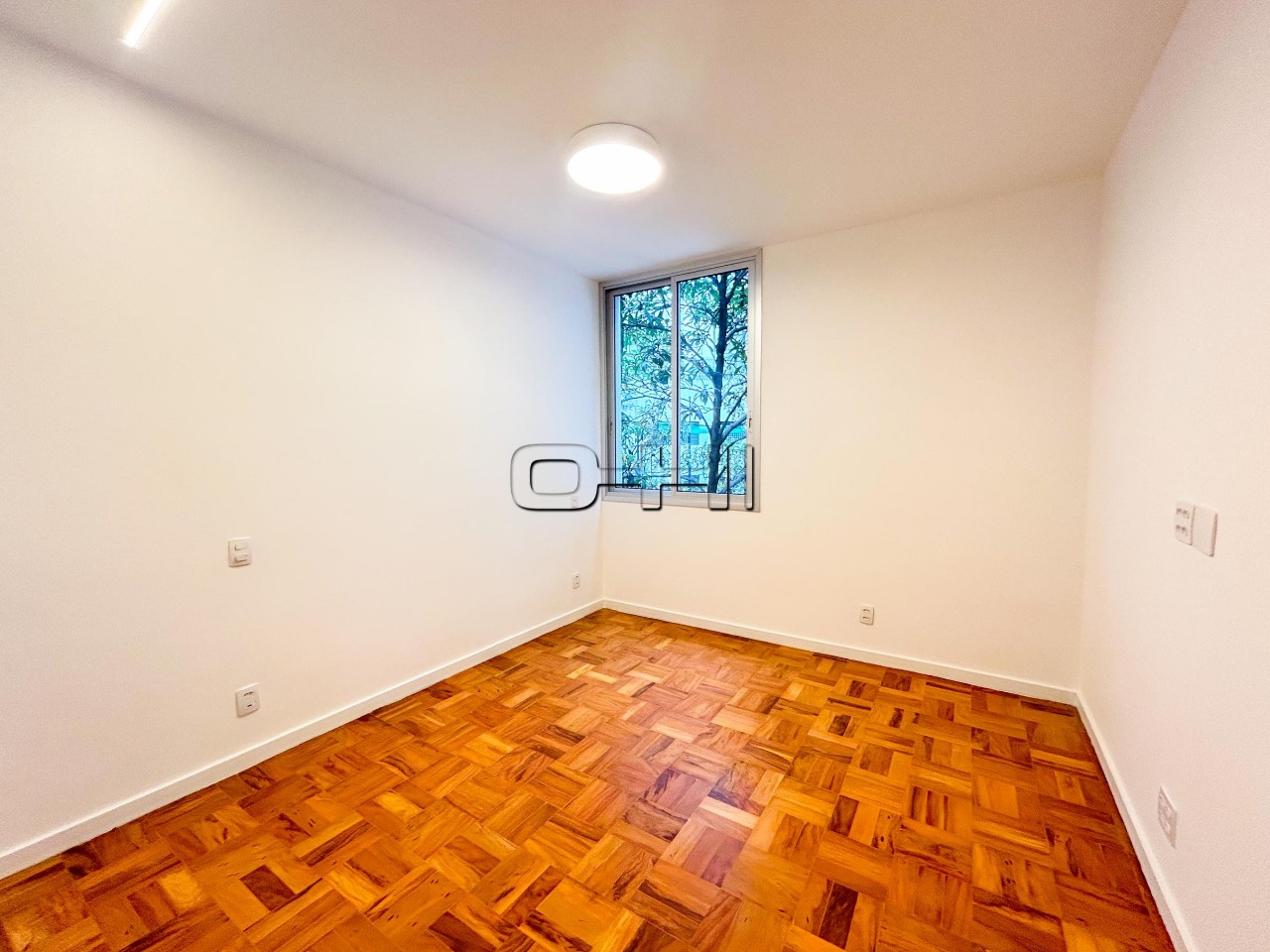 Ribeirão Preto, 515