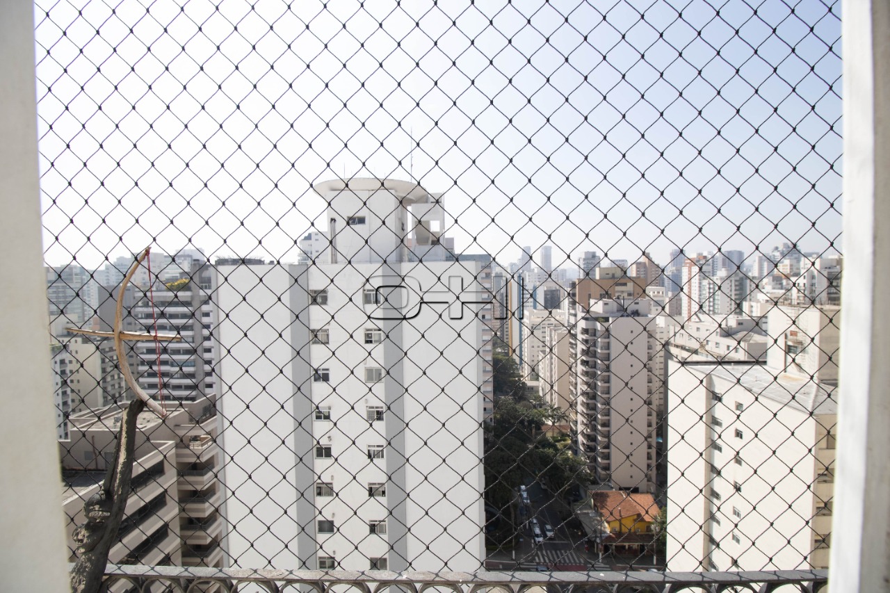 Pavão, 231