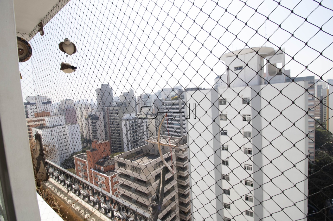 Pavão, 231
