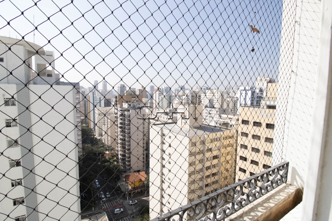 Pavão, 231