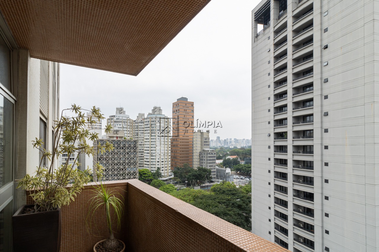 Aracari, 126