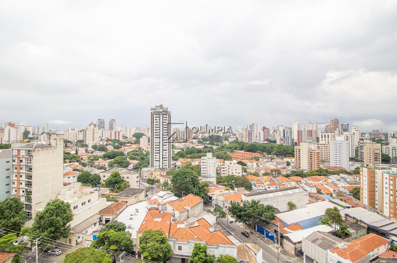 Tangará, 53