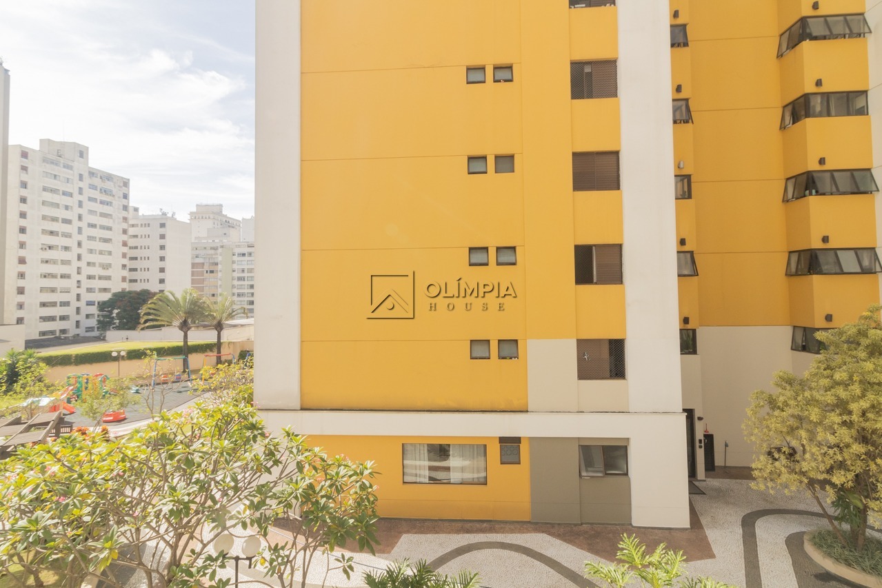 Monte Alegre, 501